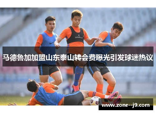 马德鲁加加盟山东泰山转会费曝光引发球迷热议