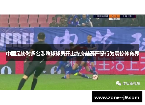 中国足协对多名涉赌球球员开出终身禁赛严惩行为震惊体育界
