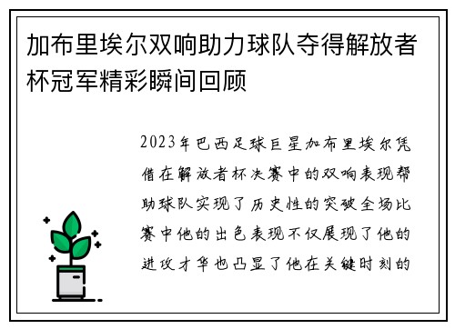 加布里埃尔双响助力球队夺得解放者杯冠军精彩瞬间回顾