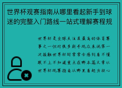 世界杯观赛指南从哪里看起新手到球迷的完整入门路线一站式理解赛程规则看点
