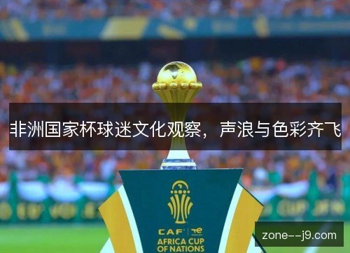 非洲国家杯球迷文化观察，声浪与色彩齐飞
